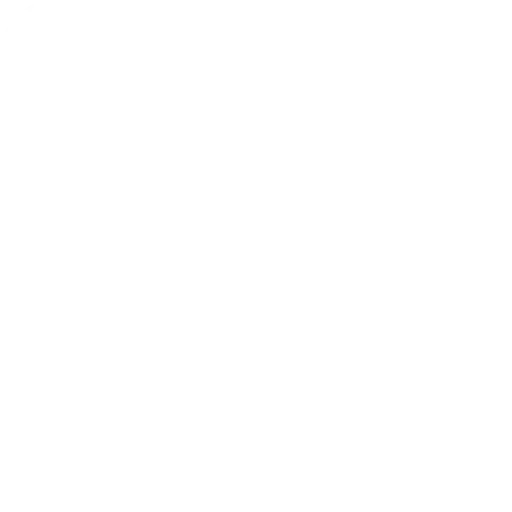 Social Icons